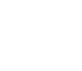 Link 3