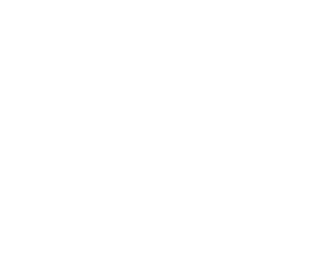 Link 4