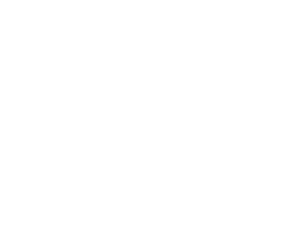 Link 1